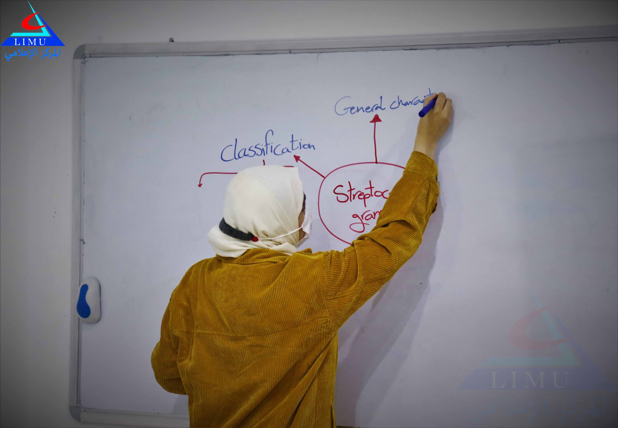 Follow TLS sessions for AMS college students