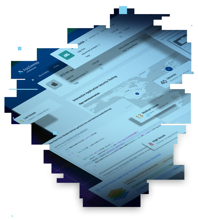 application security testing